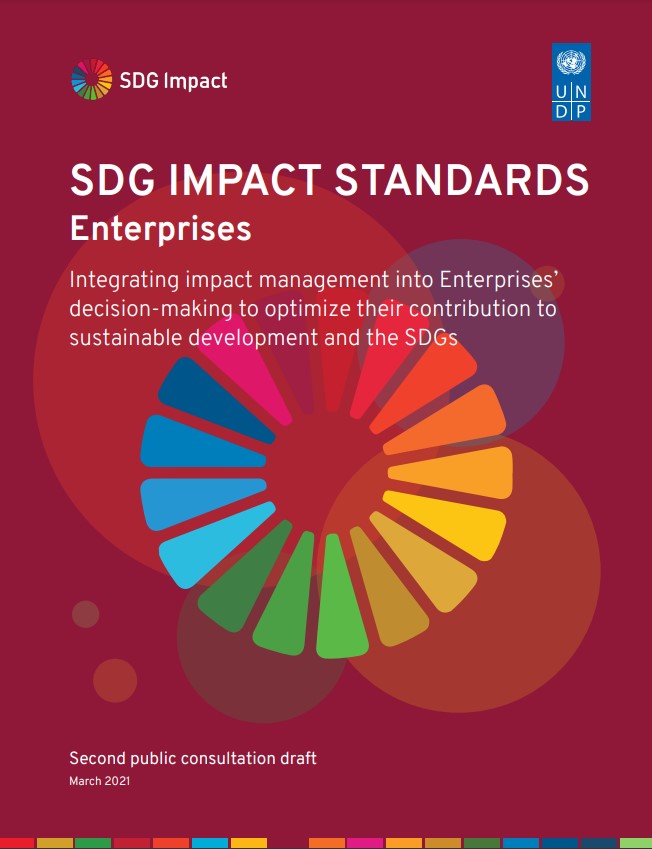 企業・事業体向け SDGインパクト基準｜SDG Impact Standards for Enterprises